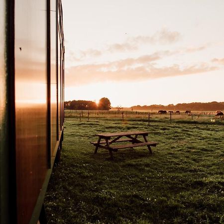 Slapen Tussen De Paarden Hotel Essen Luaran gambar