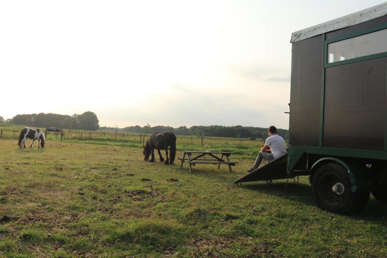 Slapen Tussen De Paarden Hotel Essen Luaran gambar