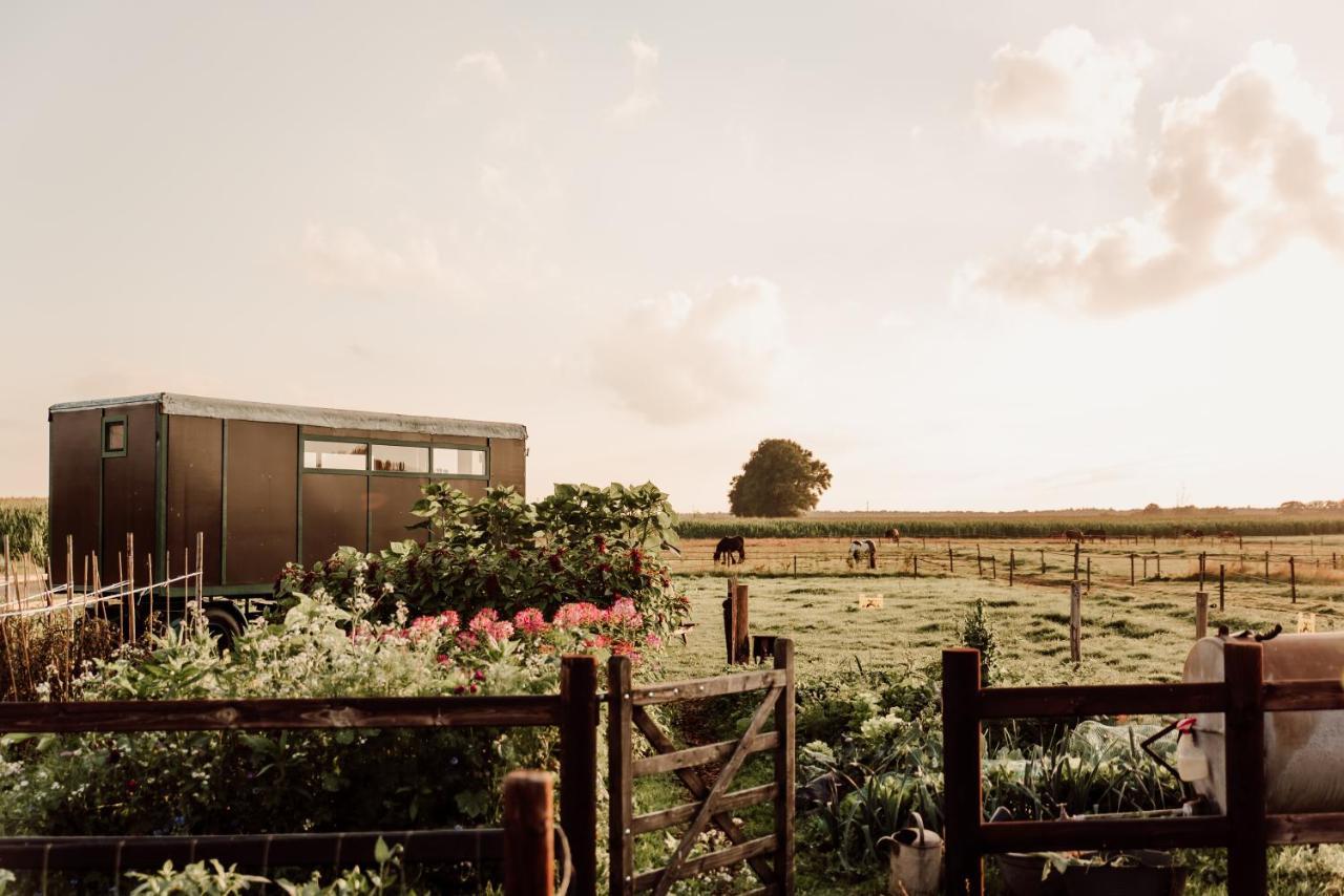 Slapen Tussen De Paarden Hotel Essen Luaran gambar